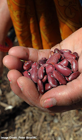 Picture of a refugee teenager